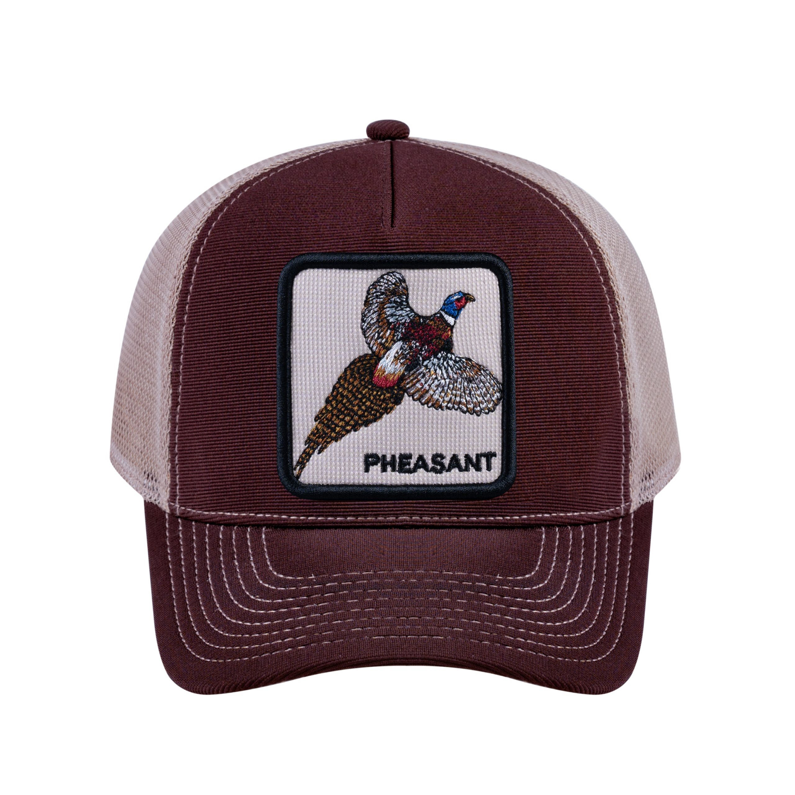 T5-DBPL-K-S38-T_a45e9799-9046-41a3-be48-1f4011b880e3-scaled