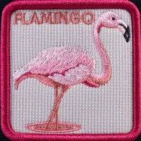 The Flamingo