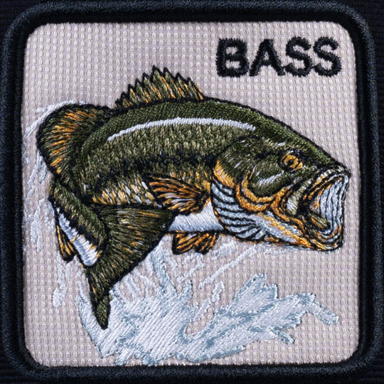 The Bass