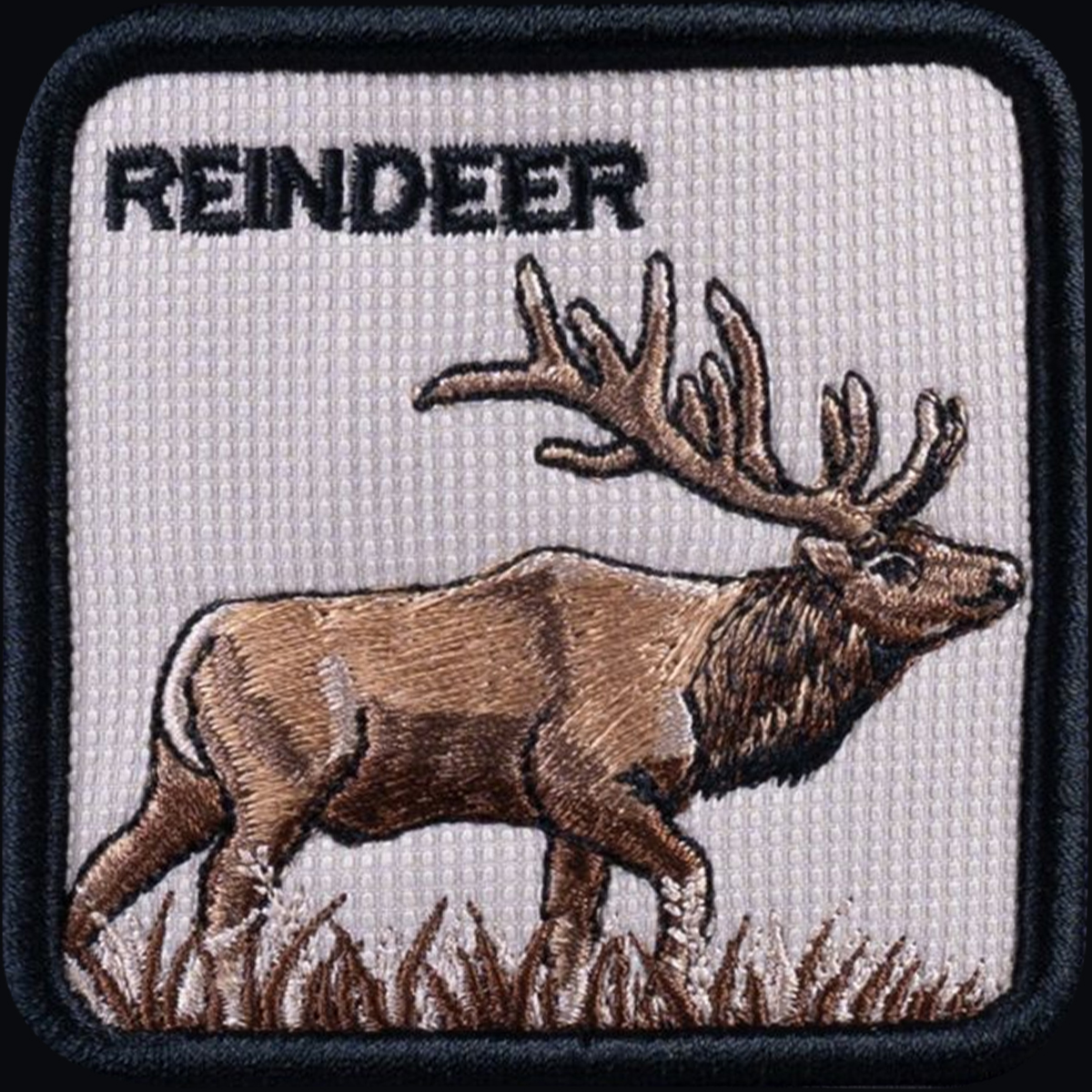 The Reindeer
